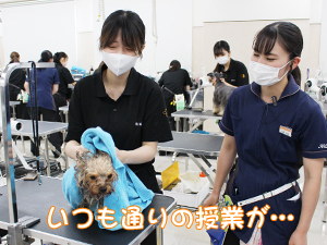 ☆１年生のトリミング実習☆